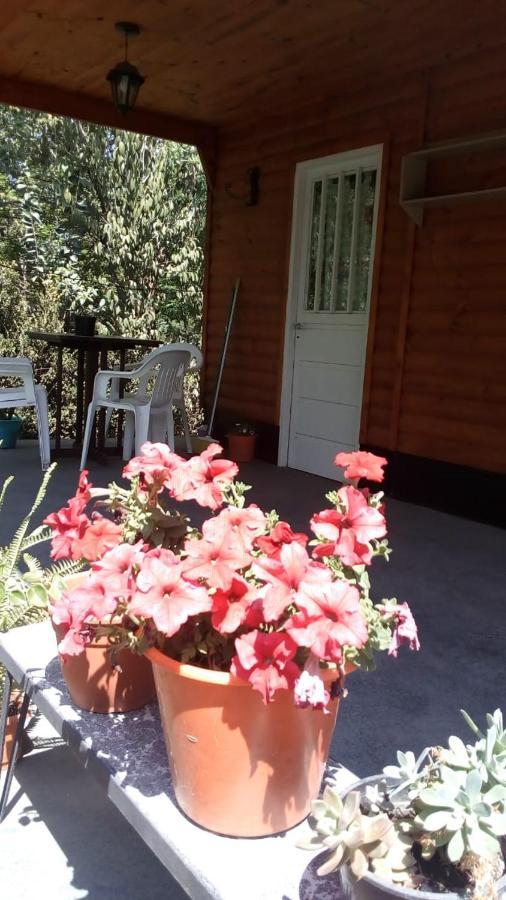 Cabanas Los Platanos La Granja Bagian luar foto