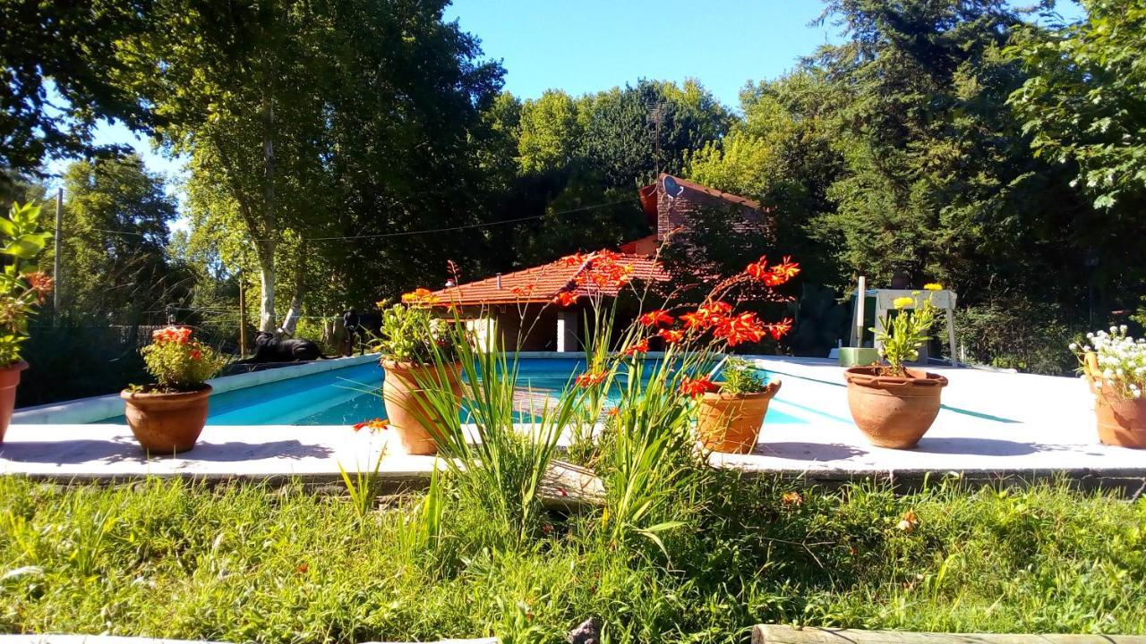 Cabanas Los Platanos La Granja Bagian luar foto